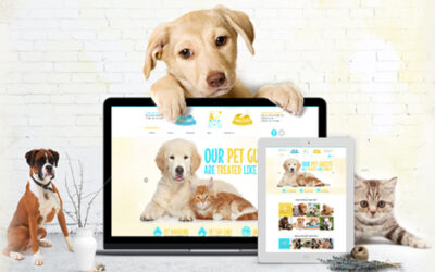 Arkansas Pet Resort