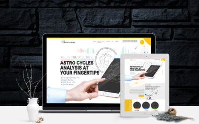 Market Cycle Analyst