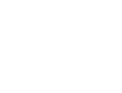 vision